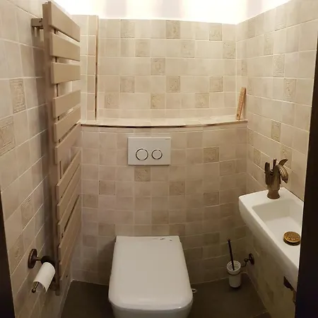 Apartament Modern Ultracentral In Cladire Monument דירה